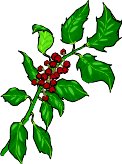 HOLLY.WMF