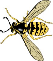 YELLOWJA.WMF
