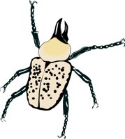 RBEETLE.WMF