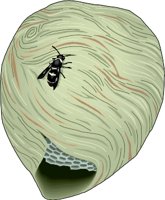 NEST.WMF