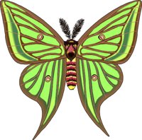 MOONMOTH.WMF
