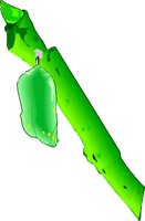 MONARCHO.WMF