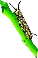 MONARCHC.WMF