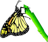 MONARCHB.WMF