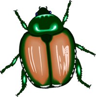 JAPBEETL.WMF