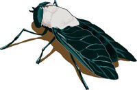 HORSEFLY.WMF