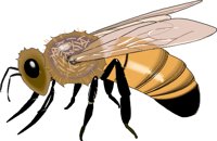 HONYBEE2.WMF