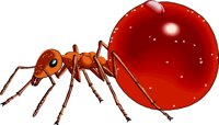 HONEYANT.WMF