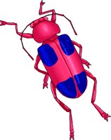 GLBEETLE.WMF