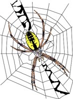 G-SPIDER.WMF