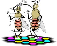 DANCEBEE.WMF