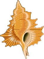TRITON.WMF