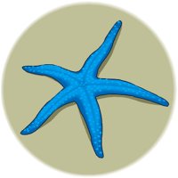 STARFSH3.WMF