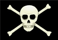 PIRATEFL.WMF