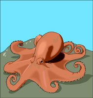 OCTOPUS.WMF