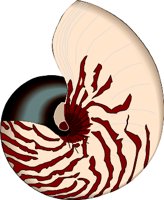 NAUTILUS.WMF