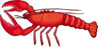 LOBSTER.WMF