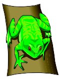TREEFROG.WMF