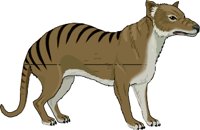 TASWOLF.WMF