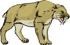 STTIGER.WMF