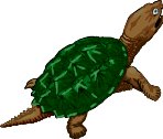 SNAPTURT.WMF