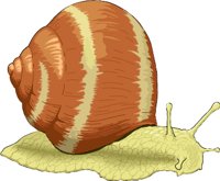 SNAIL.WMF