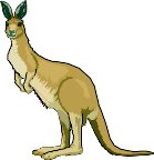 ROO.WMF