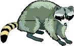 RACCOON.WMF