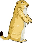 PRAIRDOG.WMF