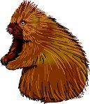 PORCUPIN.WMF