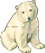 POLARCUB.WMF