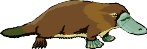 PLATYPUS.WMF