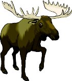 MOOSE.WMF