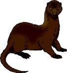 MINK.WMF