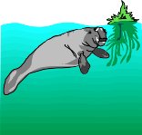MANATEE.WMF