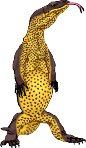 LIZARD.WMF