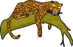 LEOPARD.WMF