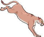 L-COUGAR.WMF
