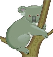 KOALA.WMF