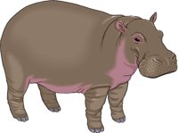 HIPPO.WMF