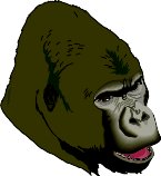 GORILLA.WMF