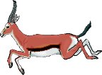 GAZELLE.WMF