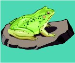 FROGO.WMF