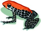 FROG.WMF