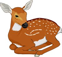 FAWN.WMF