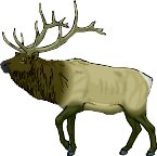 ELK.WMF