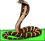 COBRA.WMF