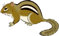CHIPMUNK.WMF