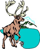 CARIBOU.WMF