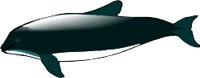 BURMEIST.WMF
